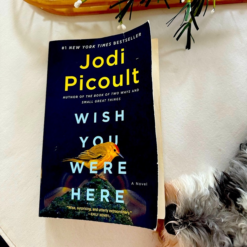 Wish you Were Here, by Jodi Piscoult!